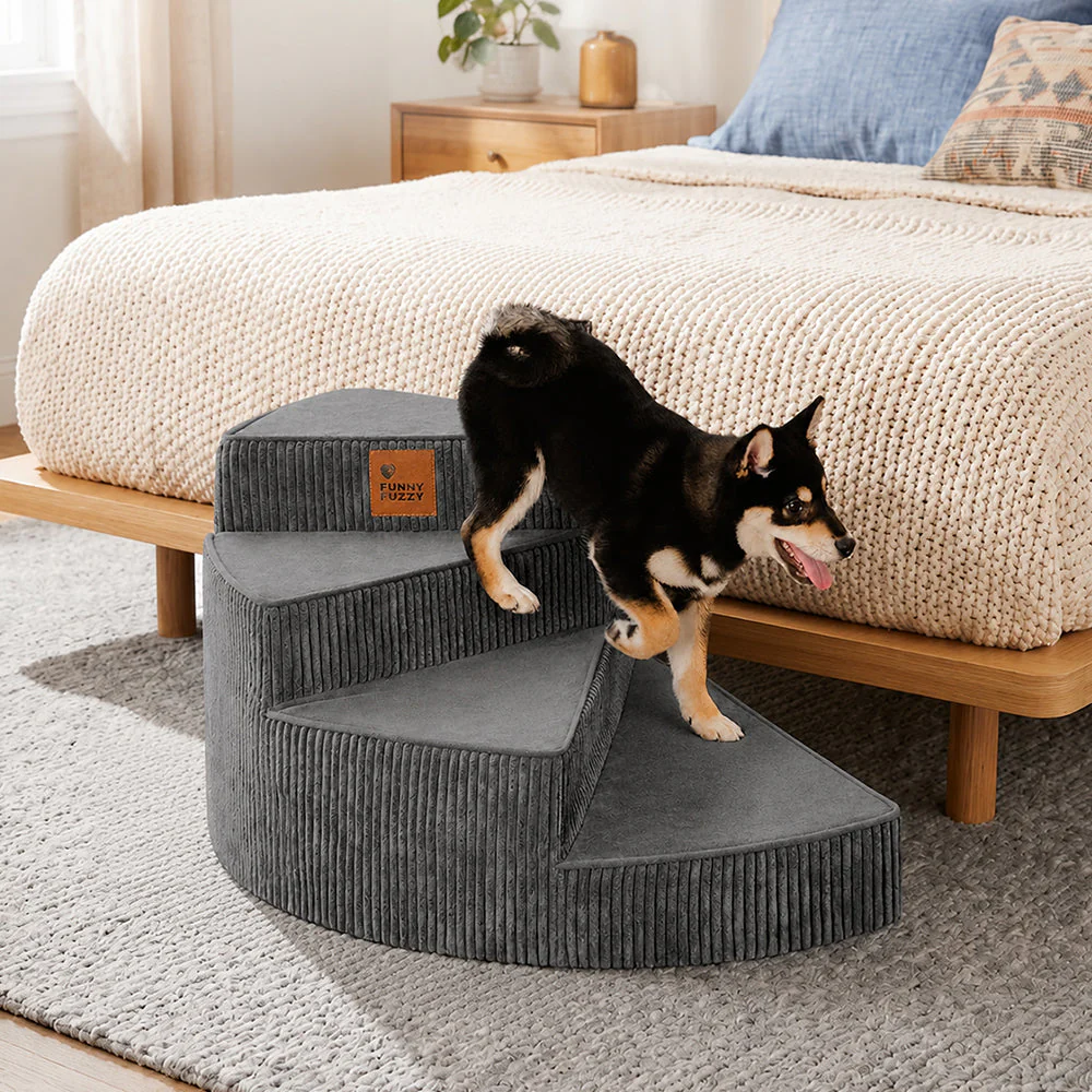 New Launch - Dog Steps